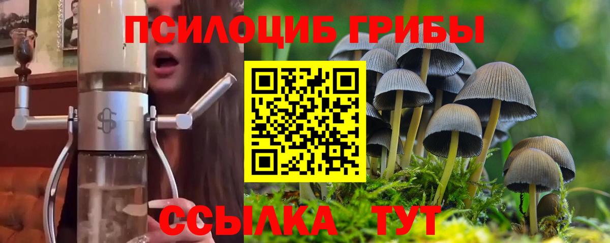 Южно-Сахалинск  Псилоцибиновые грибы Psilocybine cubensis  Вход с VPN 